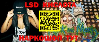 jwh Новозыбков